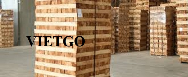 VIETGO-CAOSUXE-2008